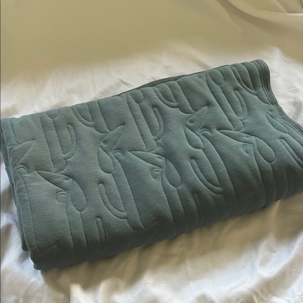 Kate Quinn Little Liam Teal Cotton Dog Quilt